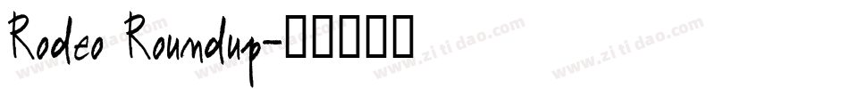 Rodeo Roundup字体转换